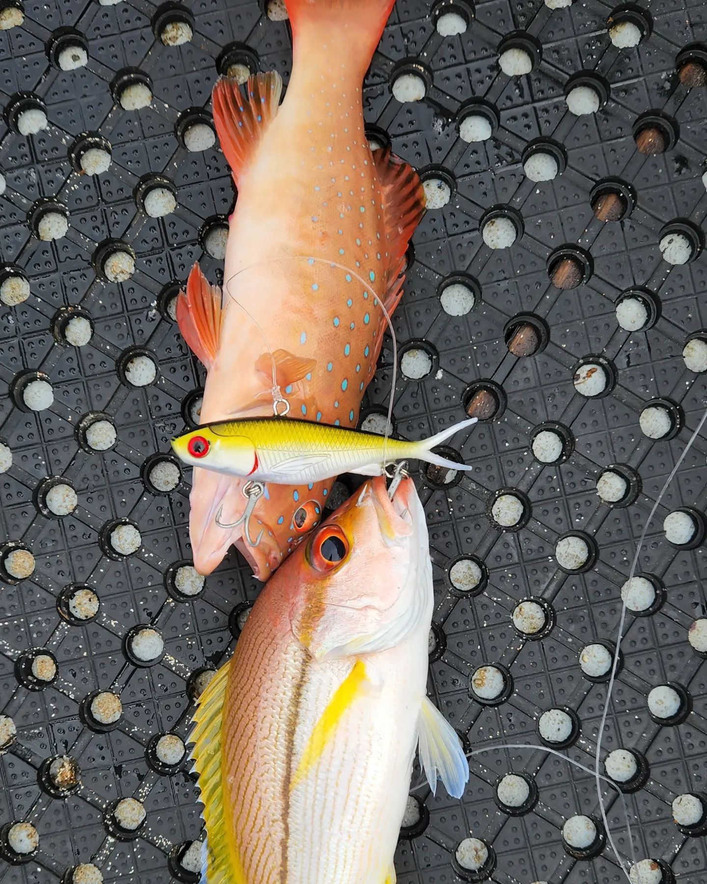 Outlaw Vibe 115mm 45g Gold Herring