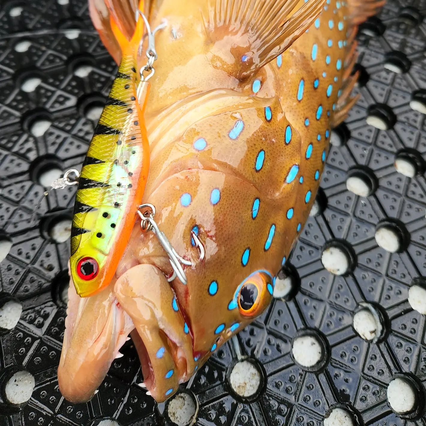 fish candy vibe lures Outlaw Vibe 115mm 45g Trout Candy – Endless Seas Fishing